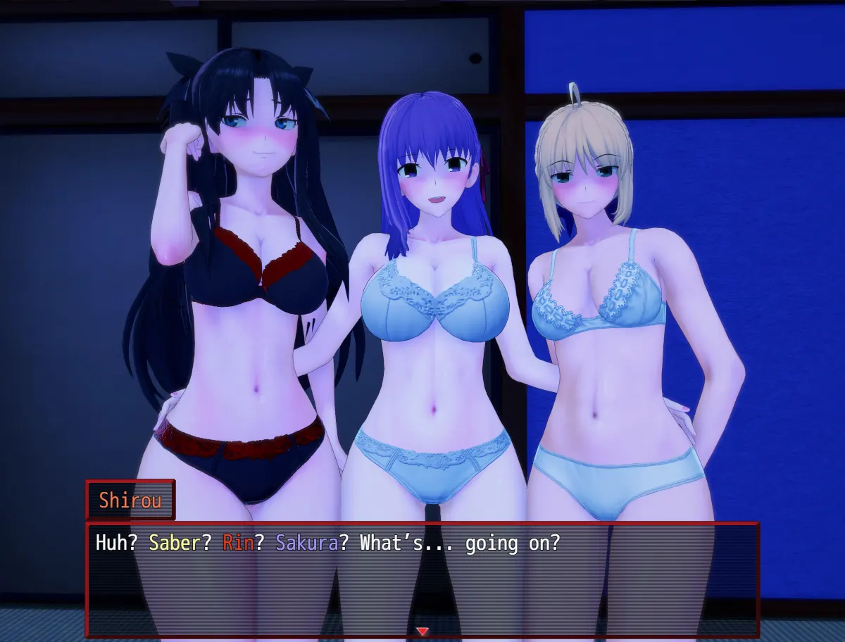 Fate/Stray Night screenshot 1