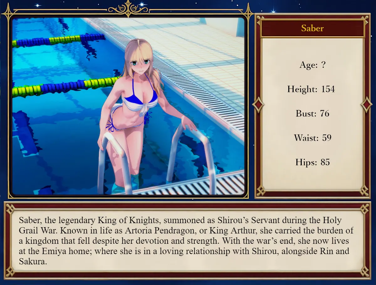 Fate/Stray Night screenshot 3